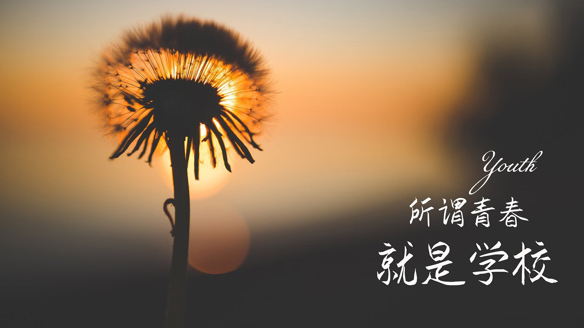 CS2 新版本赛事规则更新，cs2_2012