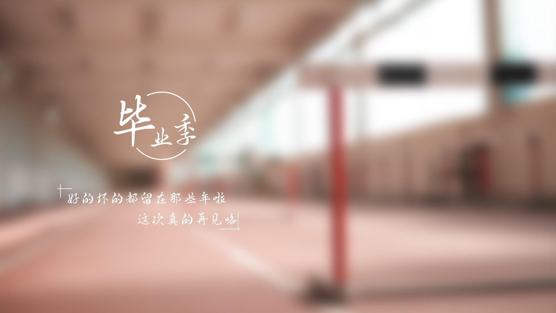 爱游戏体育app-“雪域霸主：白色赛场的冠军归来”，雪域白图片