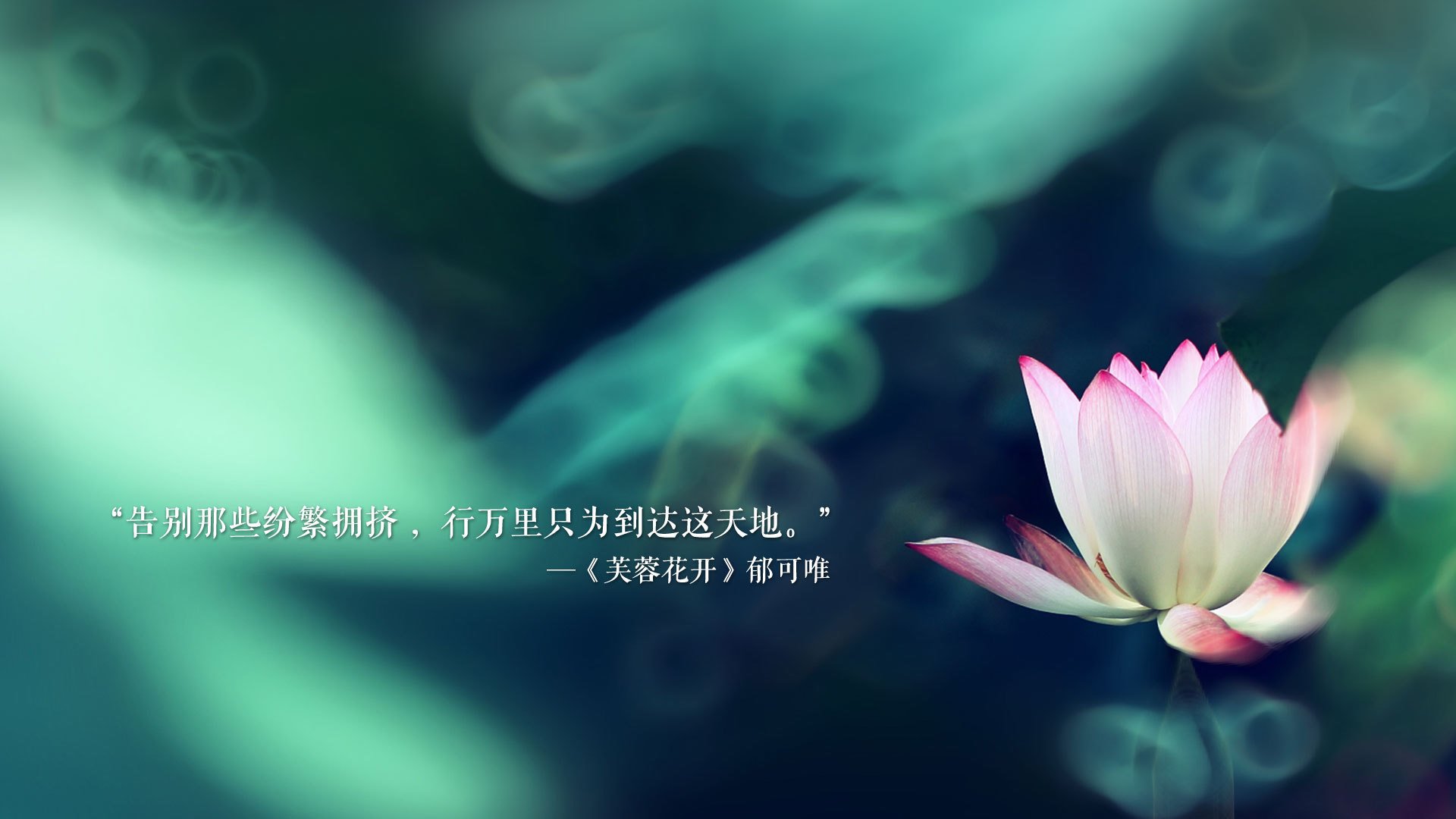 爱游戏综合娱乐-瑞士马术协会授予马尔科·阿尔瓦雷斯“年度最佳马匹护理员”称号。