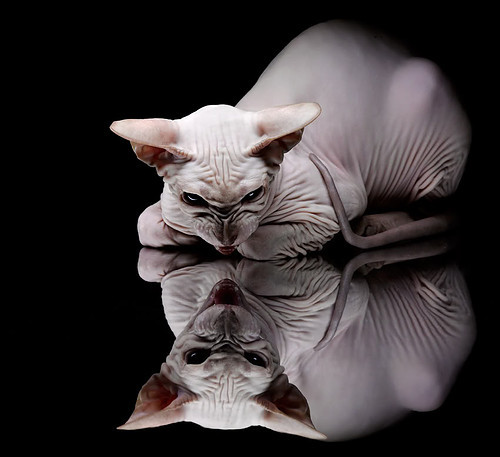 韩国女足队血战到底,惜败于对手,韩国女足2021