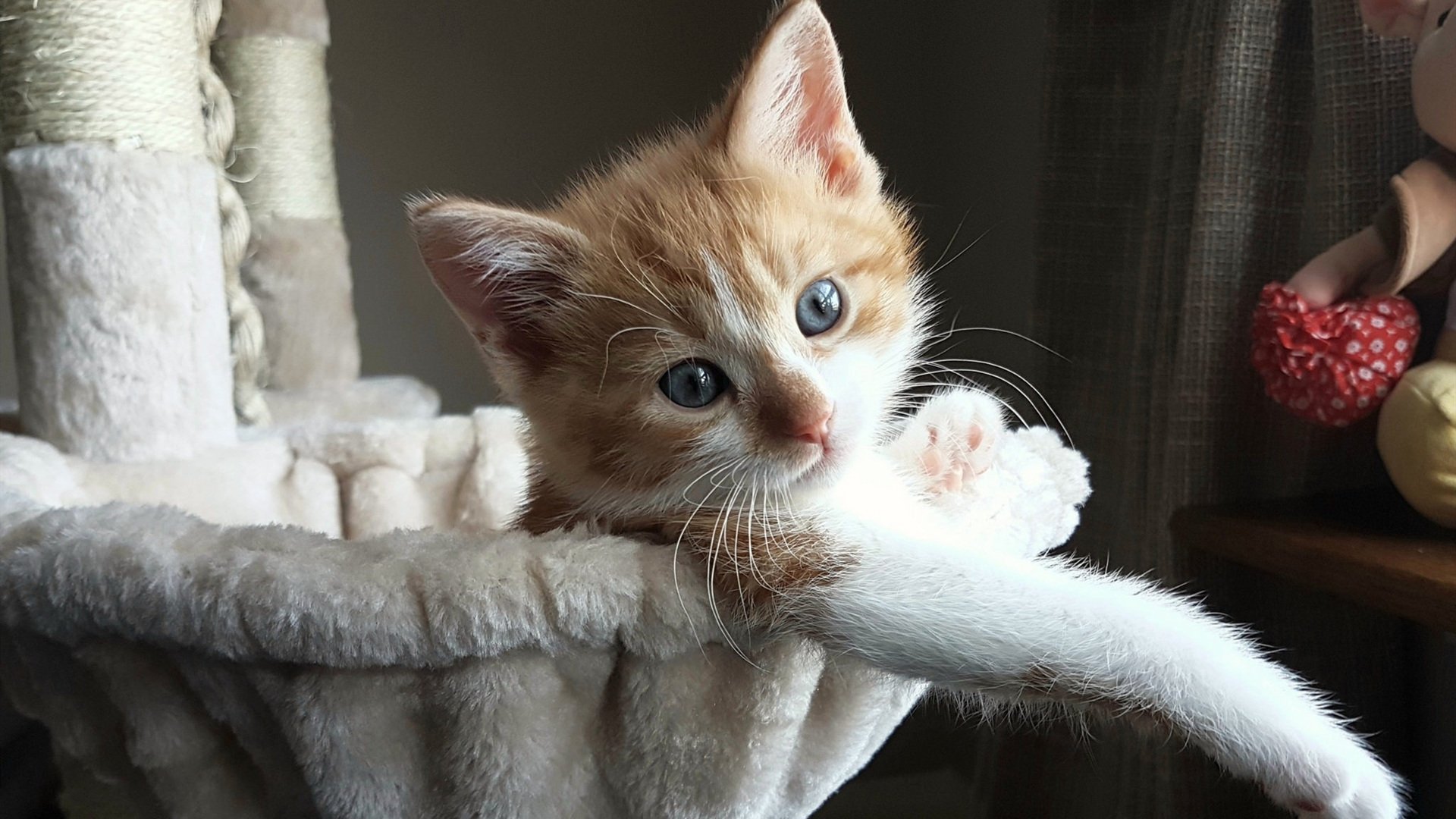 篮球专项技能动作捕捉技术的创新发展,篮球动作技术分析