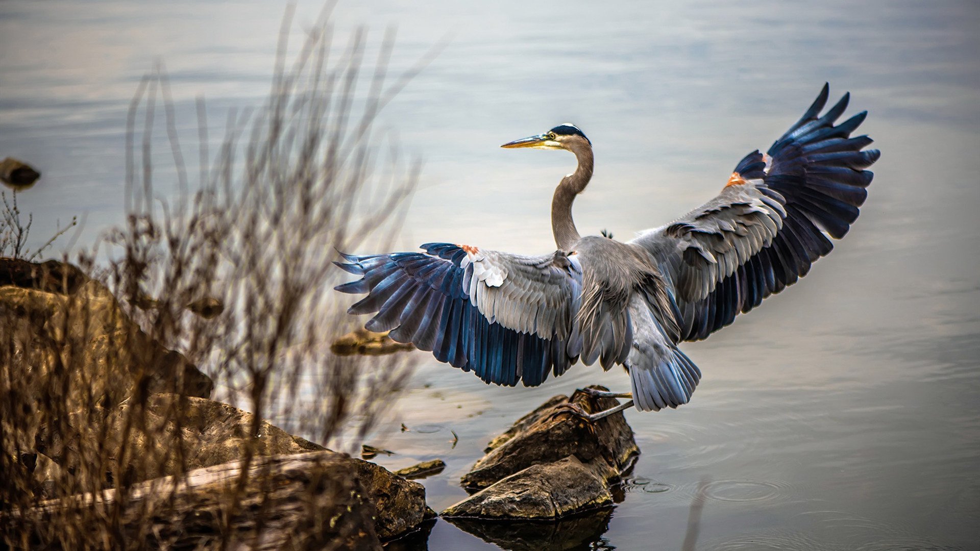 中立B选手与国际强手差距逐渐缩小,中立场比赛