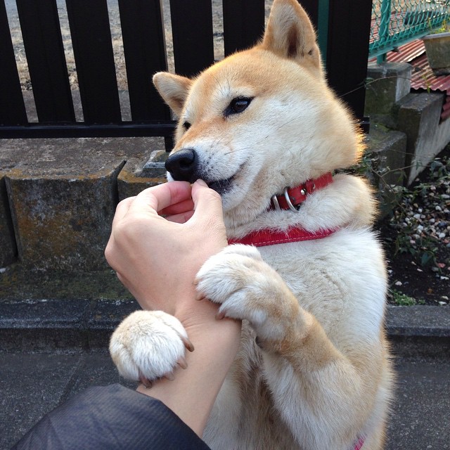 亚洲杯中国女足战败 球迷呼吁重视后防建设,中国女足冲出亚洲了嘛