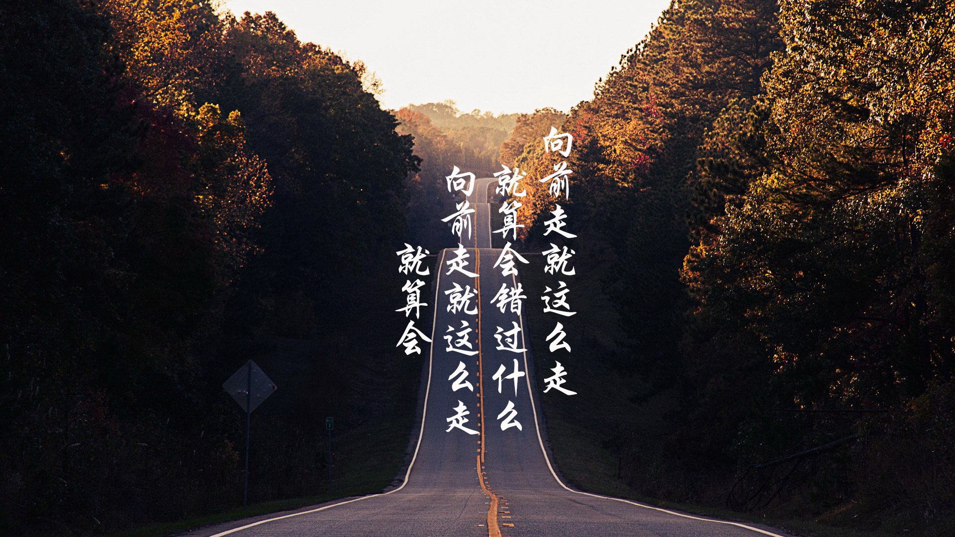 国际乒联混合团体世界杯:新加坡队的技术与战术亮点,乒乓 新加坡