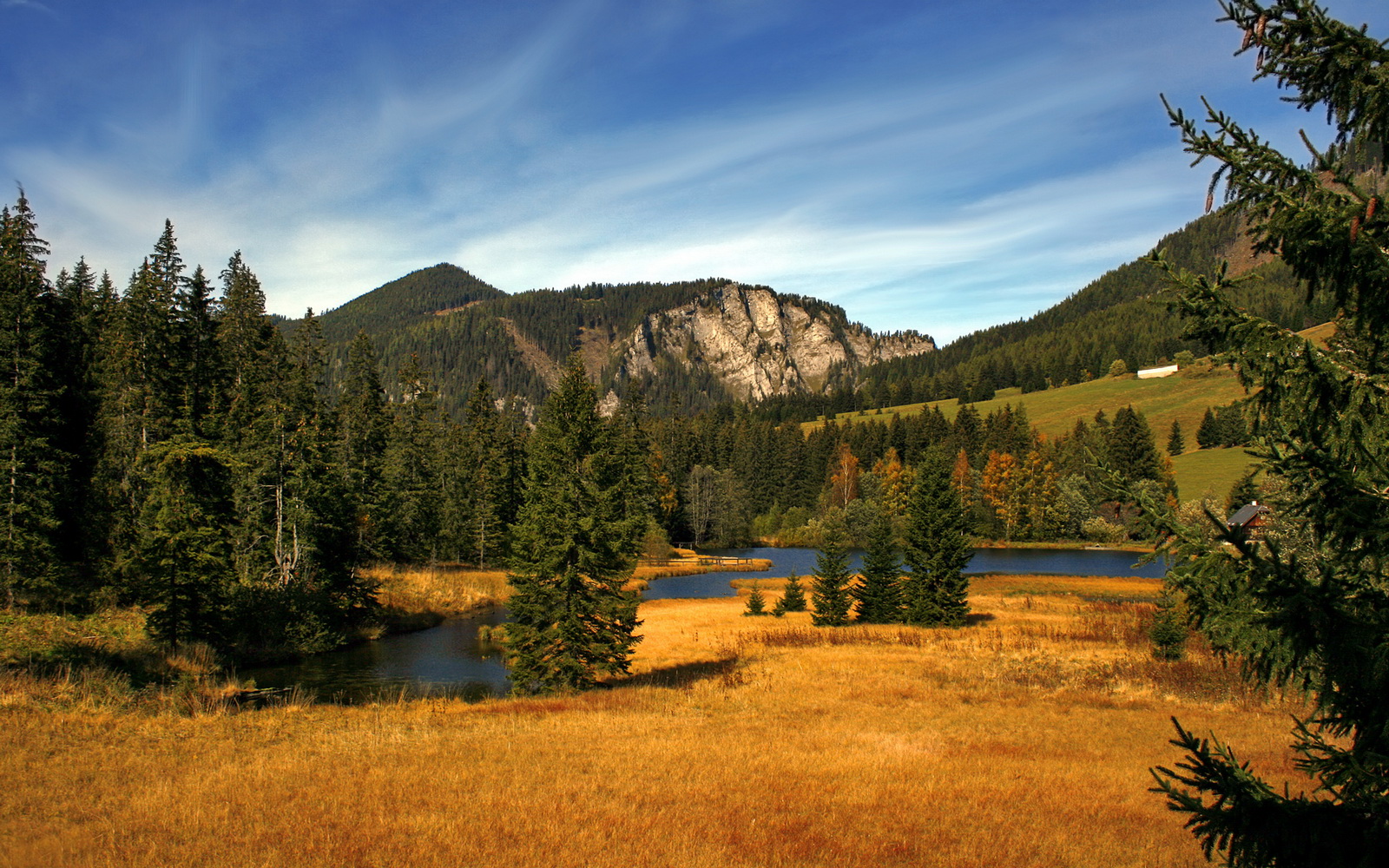 爱游戏体育APP下载-男子蝶泳滑行段平均比重约22%，中国男子蝶泳选手