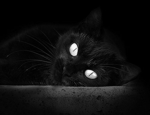 篮球赛新人辈出竞争激烈程度升级,篮球比赛出场个人队员介绍词