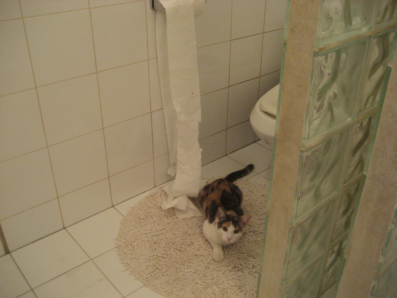 爱游戏体育APP下载-高校冬季运动会气氛热烈 参与人数创新高，学校冬季运动会项目有哪些