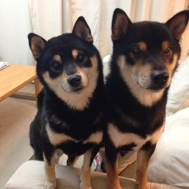 世界杯激情夜:逆境中创造奇迹!,世界杯激战正酣,我们都知道