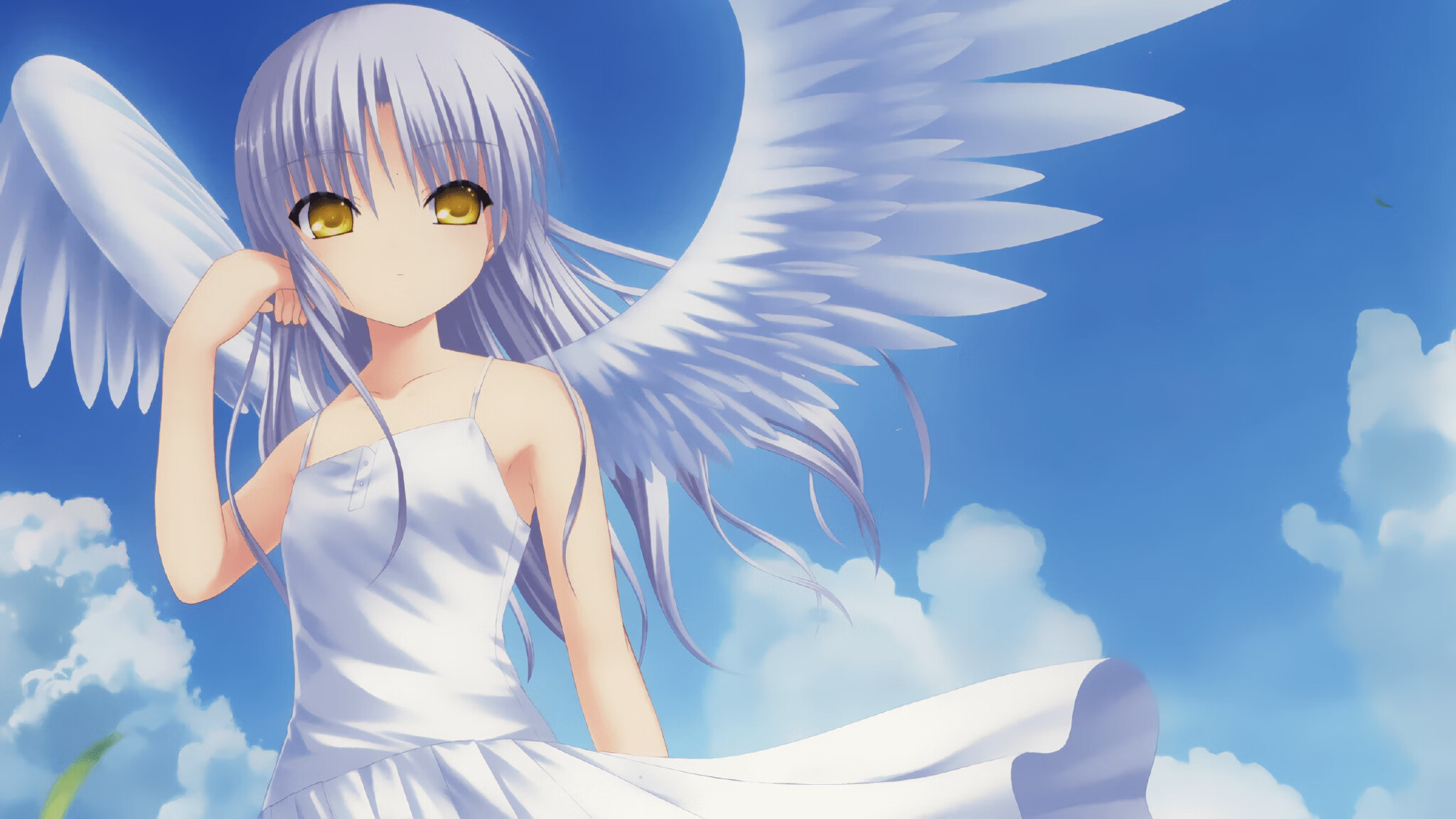 AYX体育-公牛主帅赞扬球队训练态度积极主动，公牛队介绍