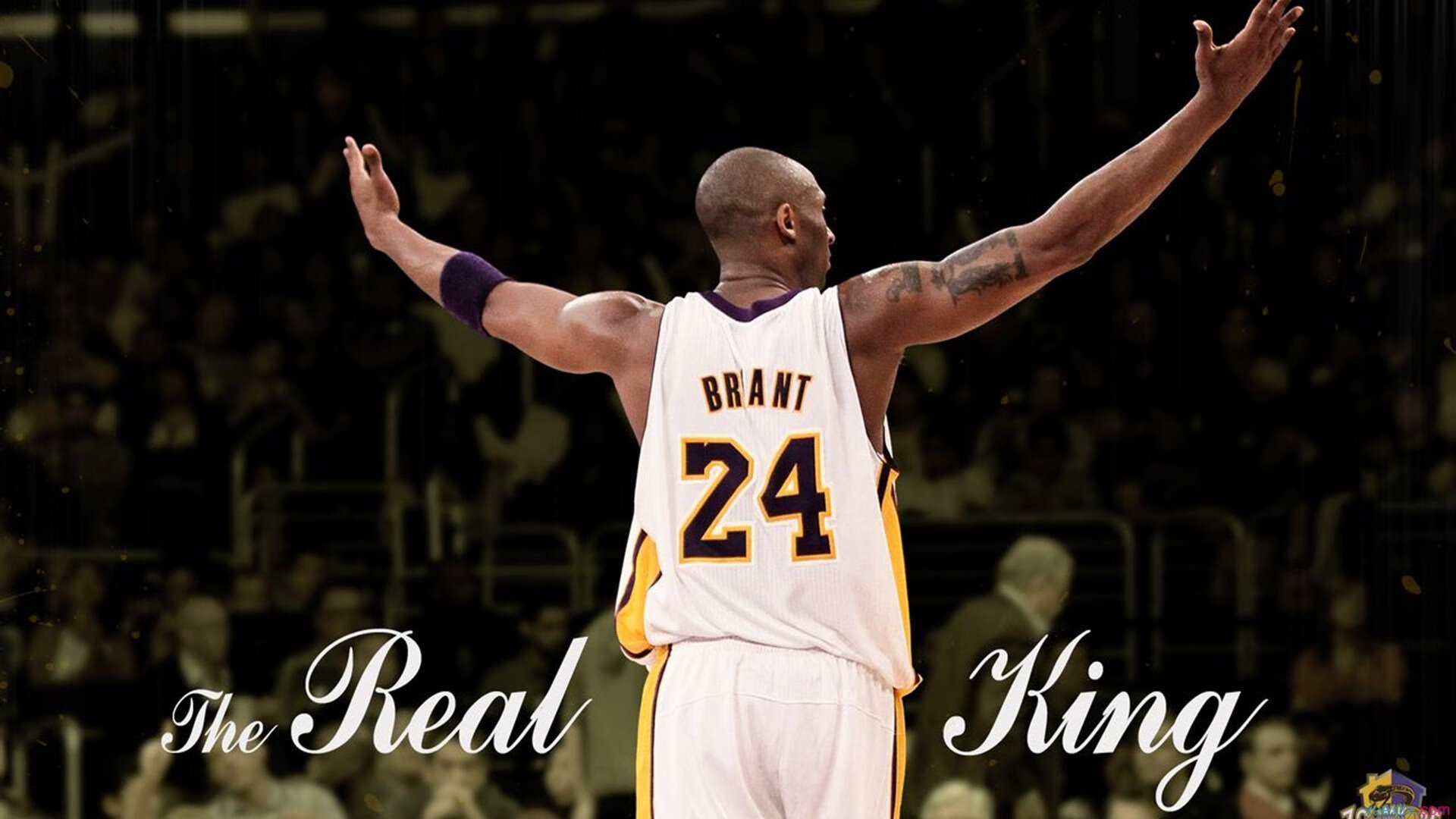 《电竞文化的传承与创新：新一代年轻人的精神寄托》，电竞 文化担当